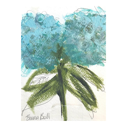 Aqua Hydrangea 2