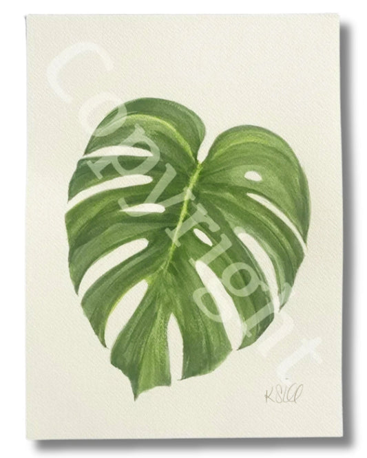 Monstera Leaf 2