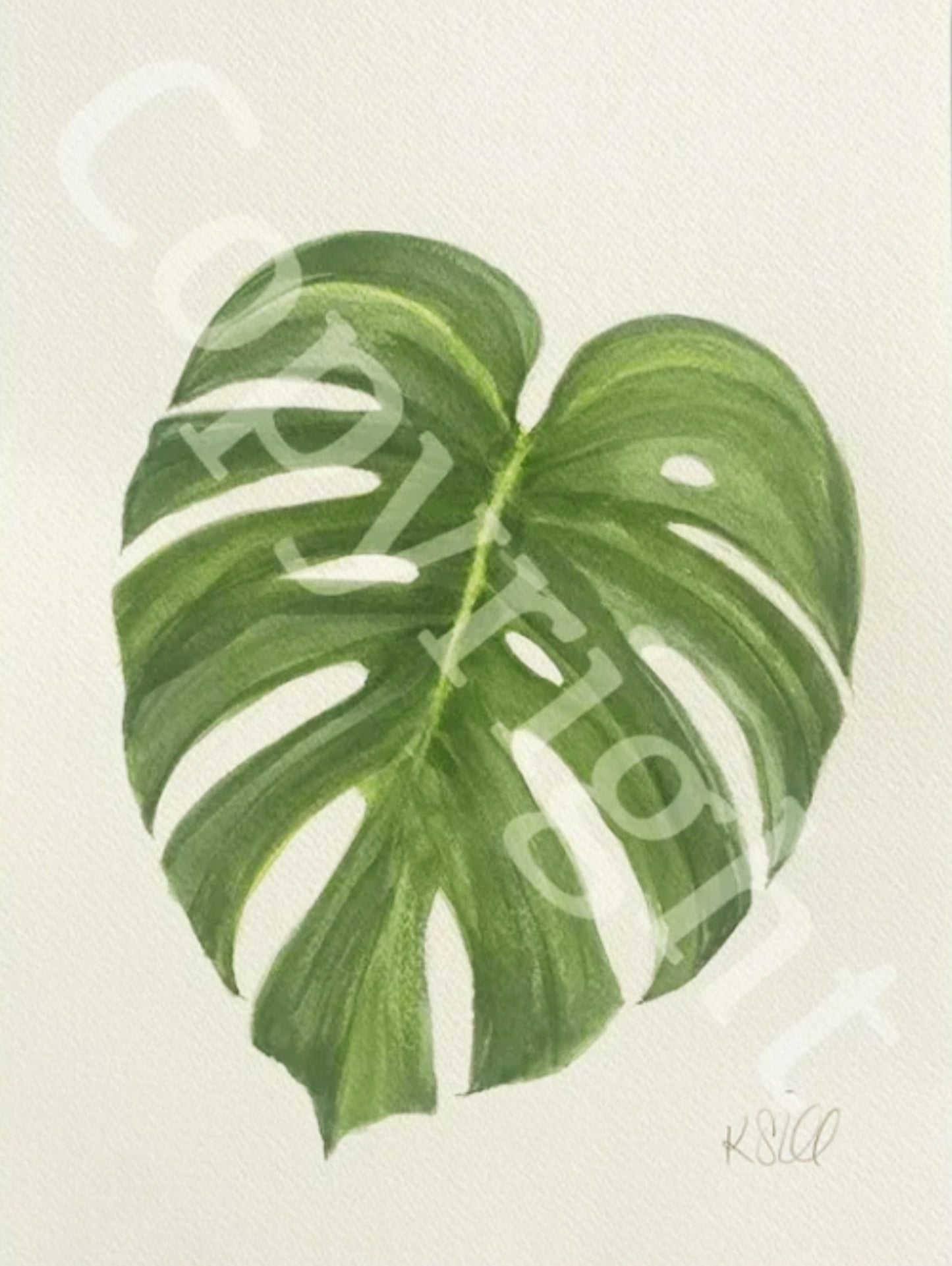 Monstera Leaf 2