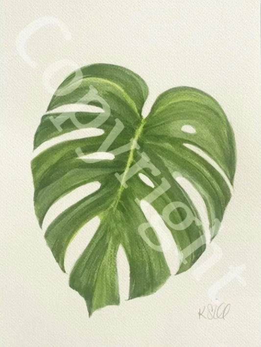 Monstera Leaf 2