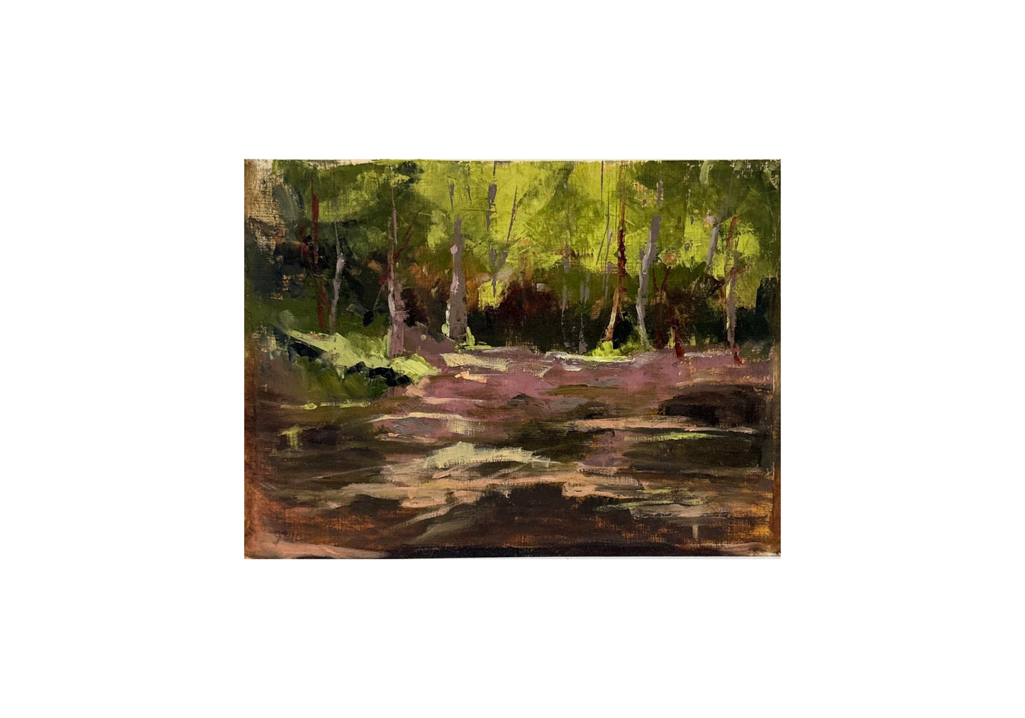 Creekside Morning