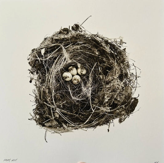 Farm Nest (Large)