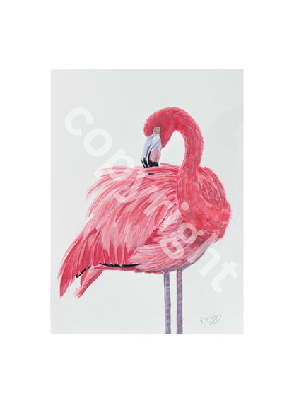 Flamingo 1