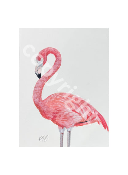 Flamingo 2