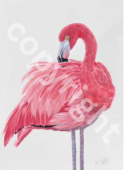 Flamingo 1