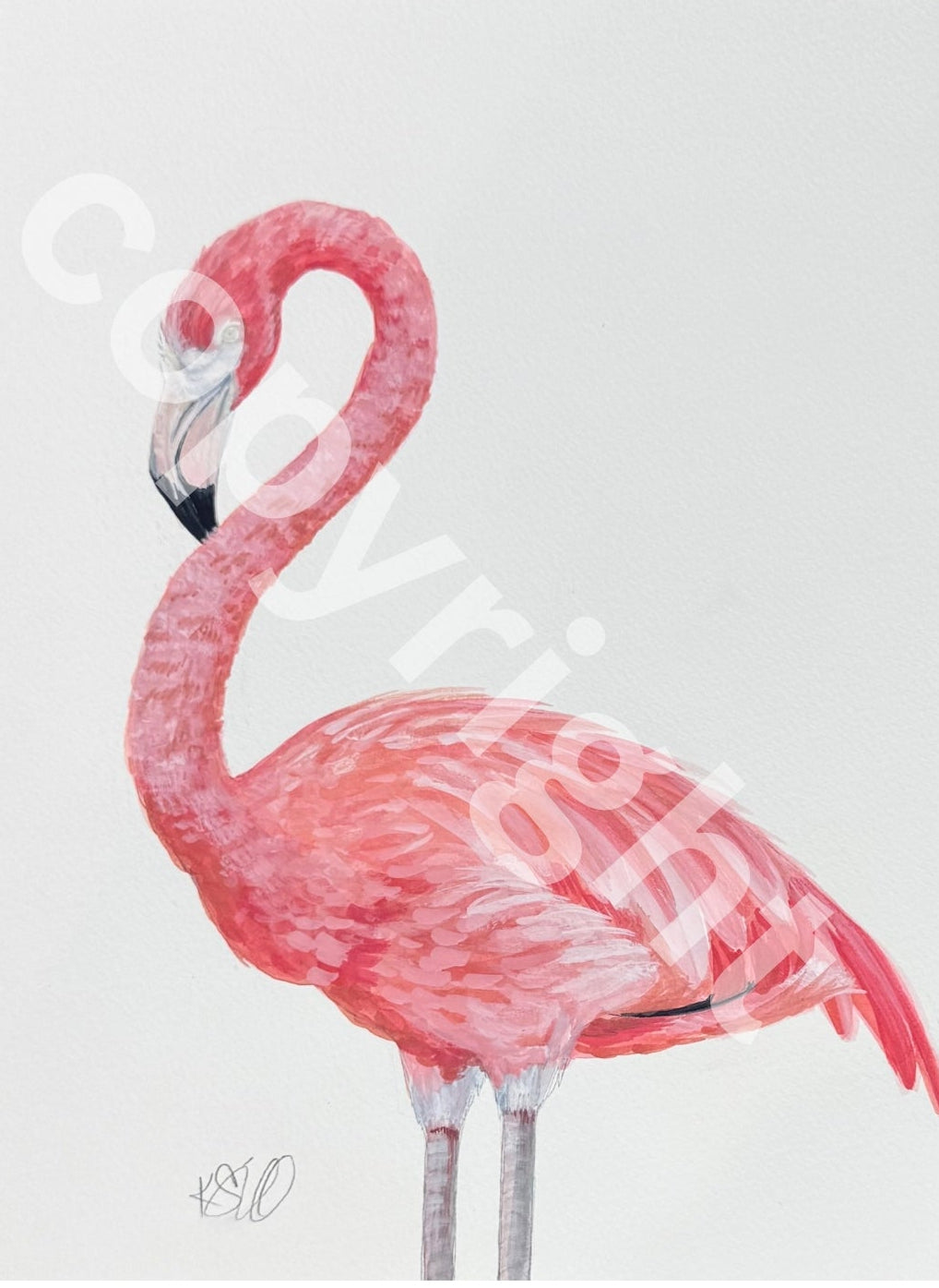 Flamingo 2