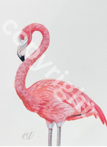 Flamingo 2