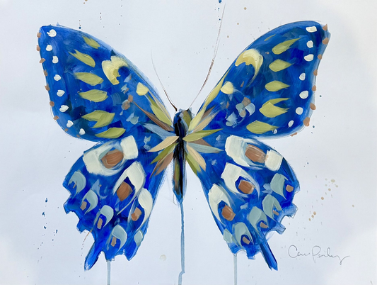 Cobalt Blue Butterfly