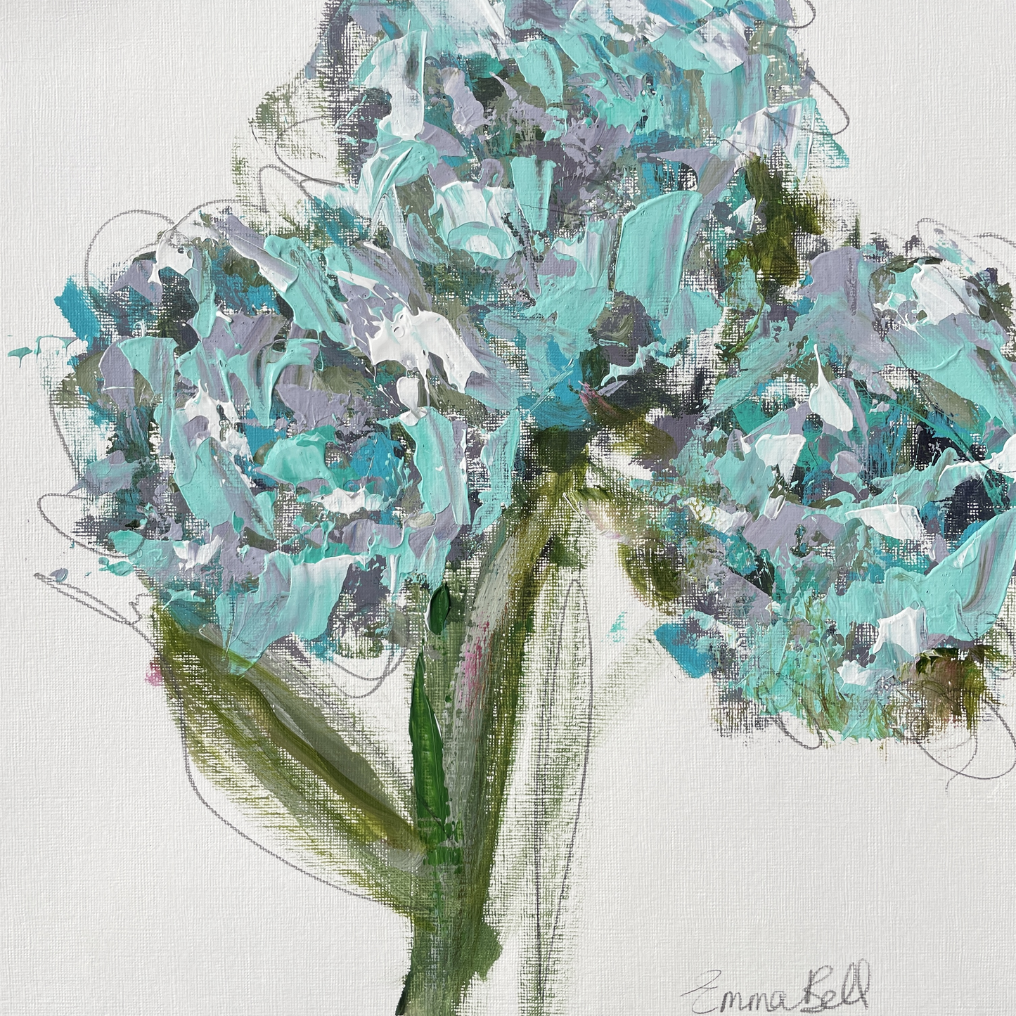 Aqua Hydrangea 1