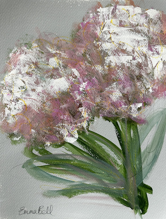 Blush Hydrangea