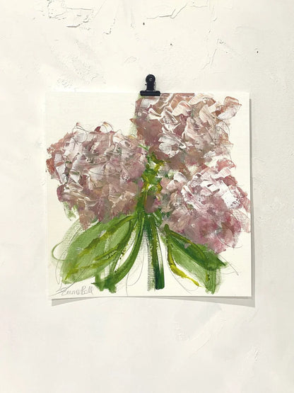 Blush Hydrangeas