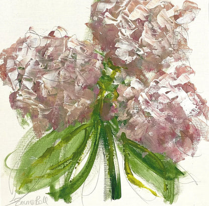 Blush Hydrangeas
