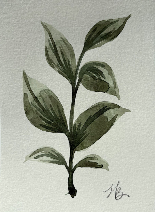 Leafy Green 5