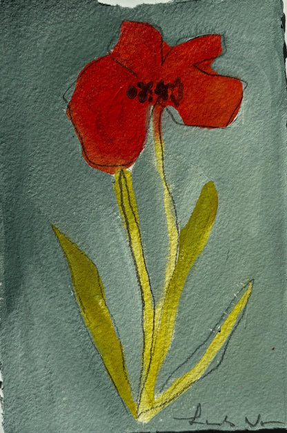 Poppy 1