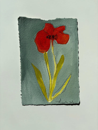 Poppy 1