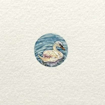 Swan