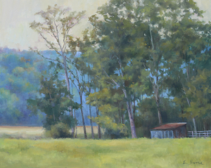 The Edge of the Meadow