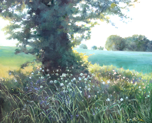 The Meadow Meets the Light
