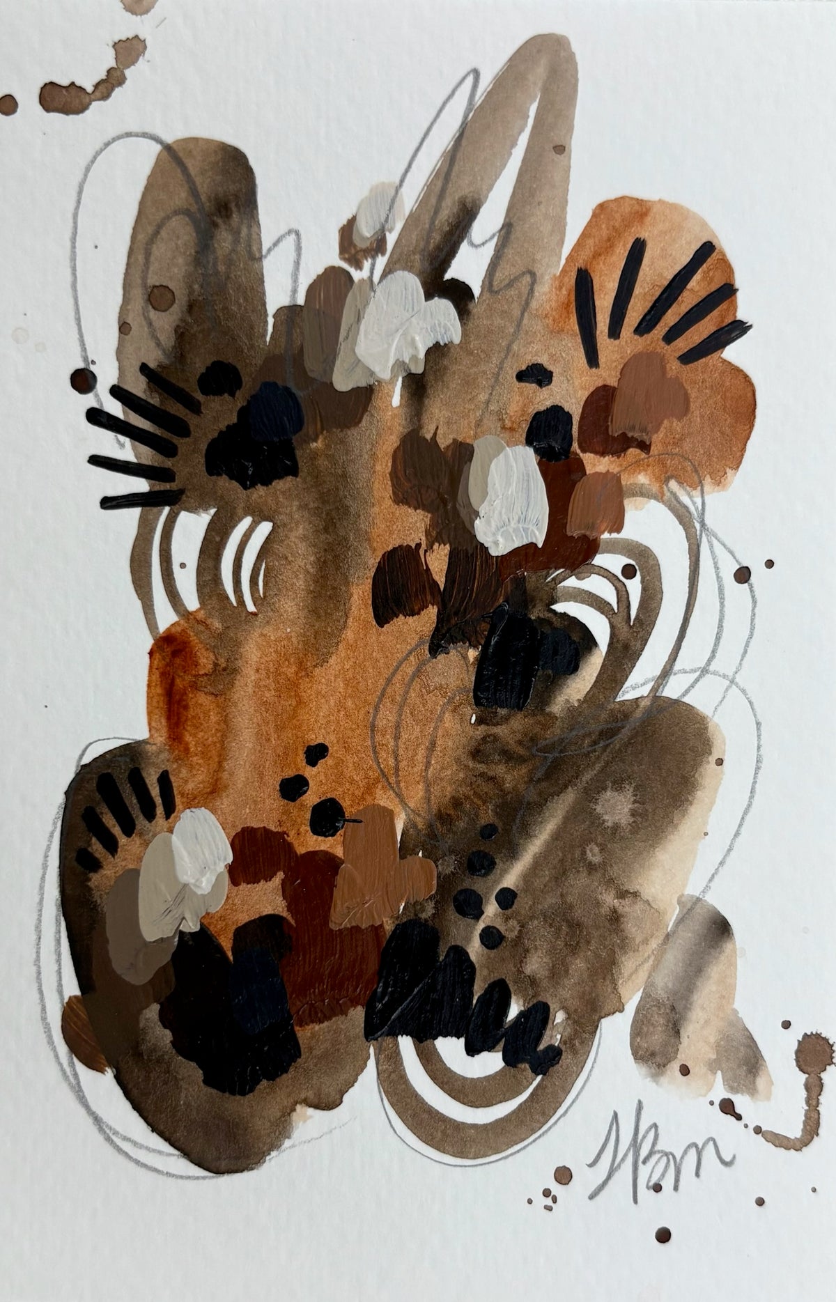 Tortoise 3