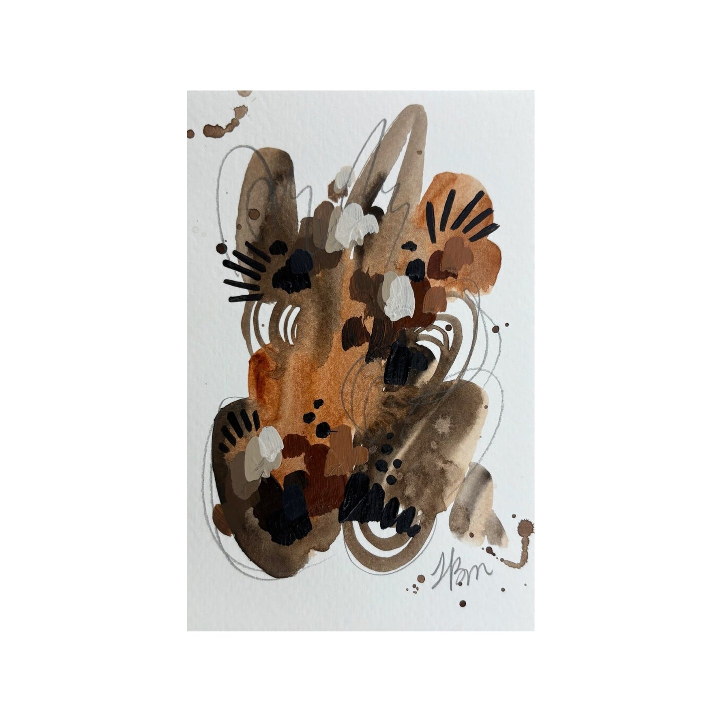 Tortoise 3