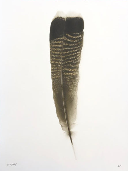 Wild Turkey (Small)